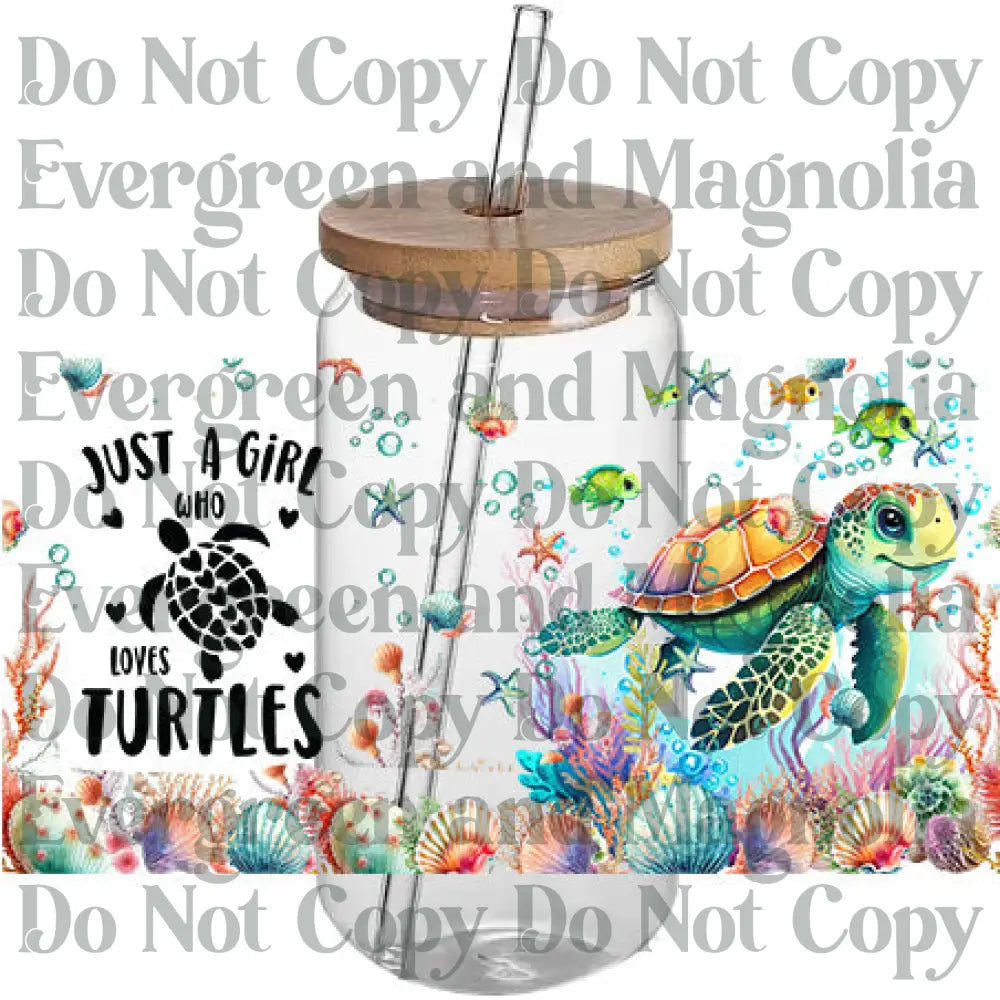 Turtle 17