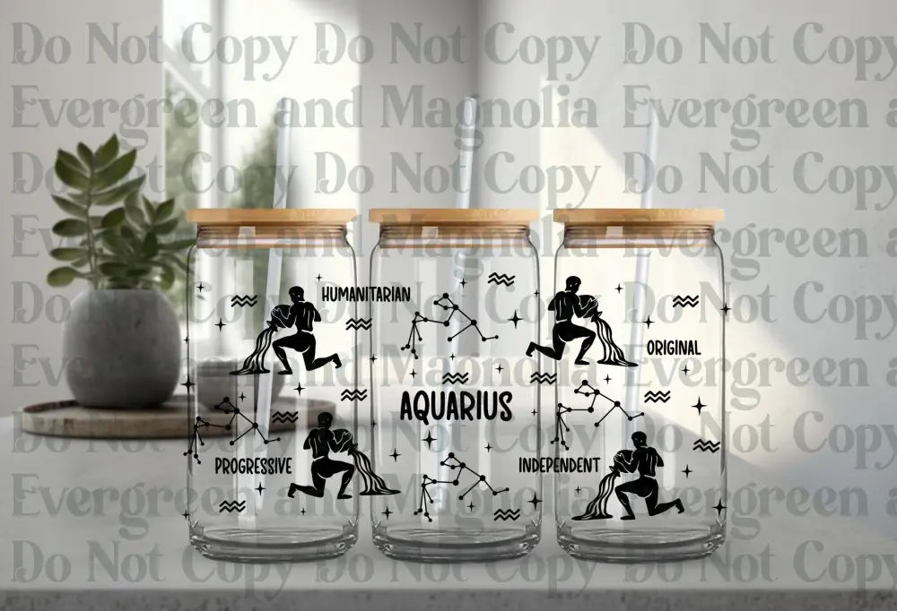 Aquarius 2