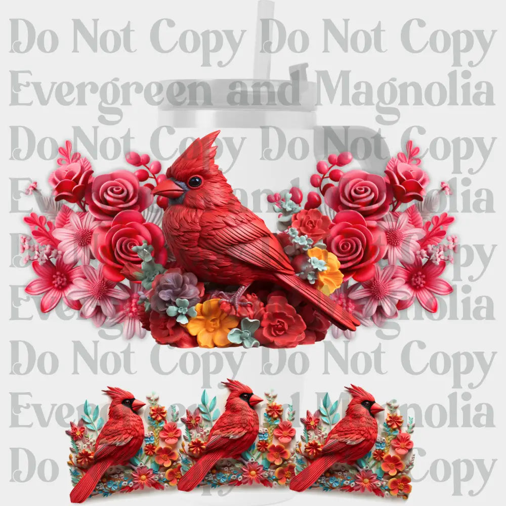 3D Cardinal
