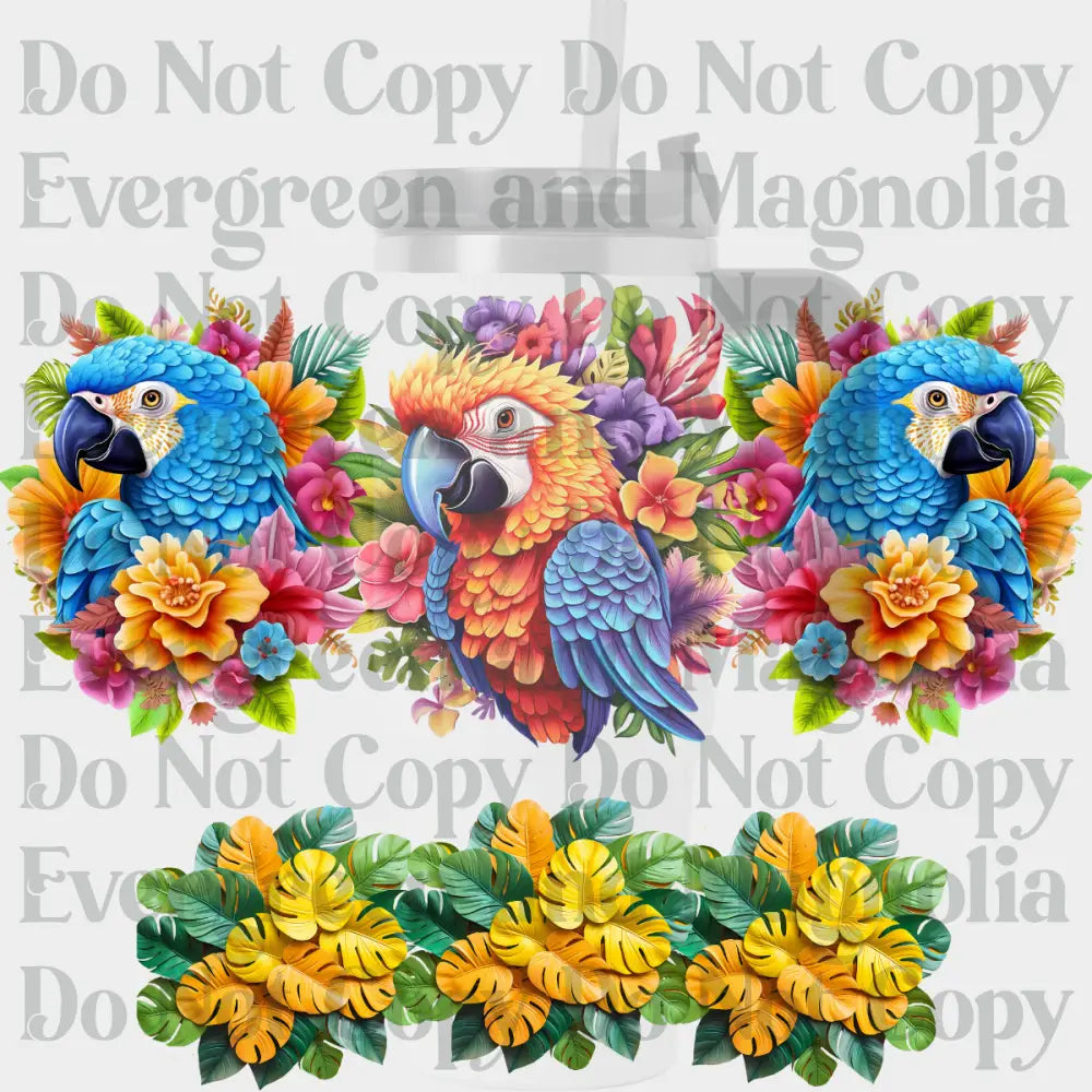3D Parrot trio