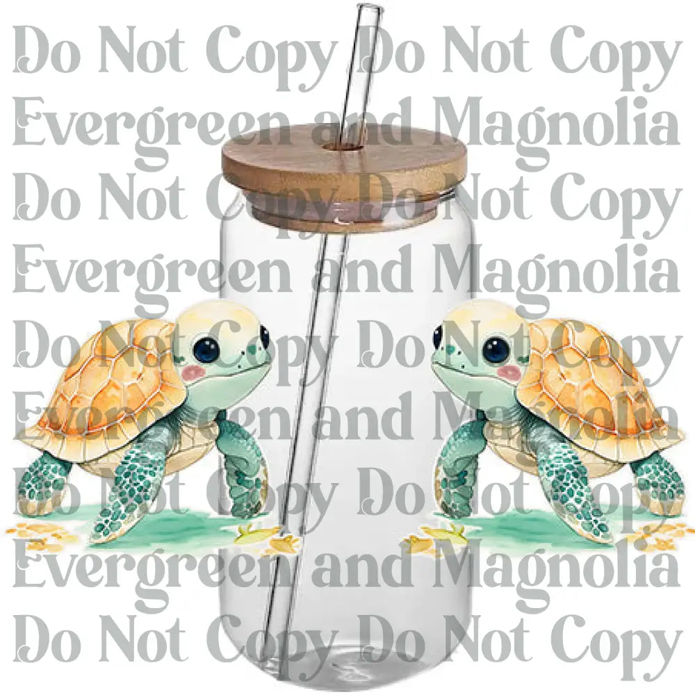Turtle 9