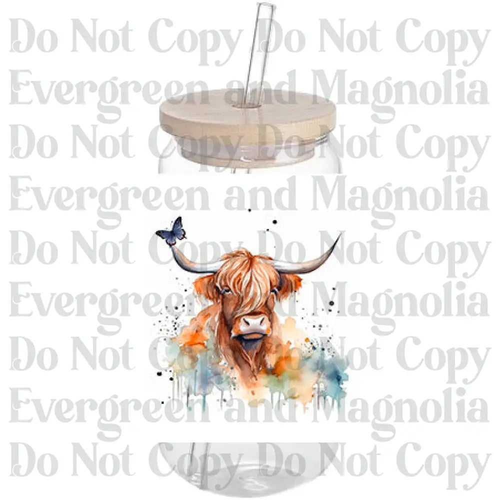 Highland cow 2