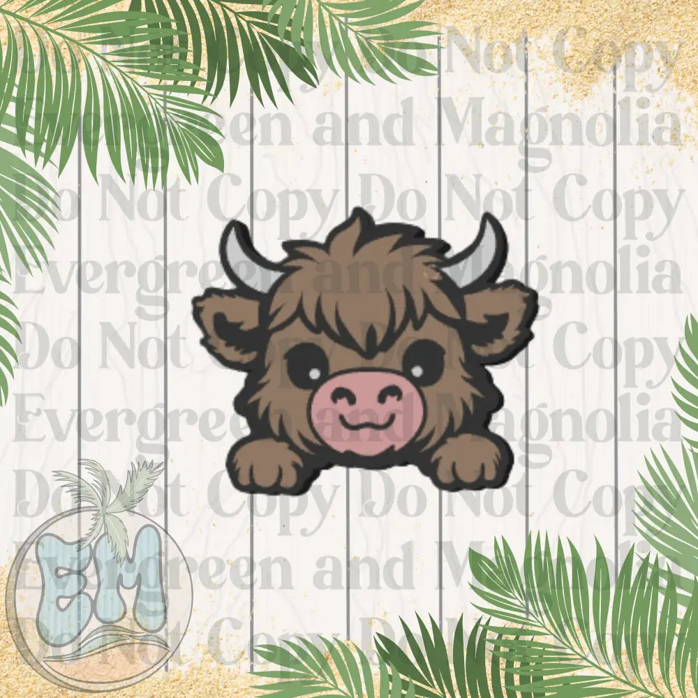 Highland cow