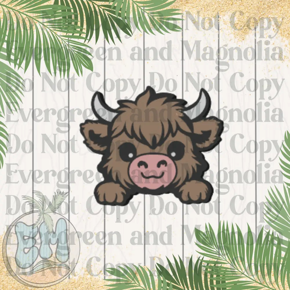 Highland cow