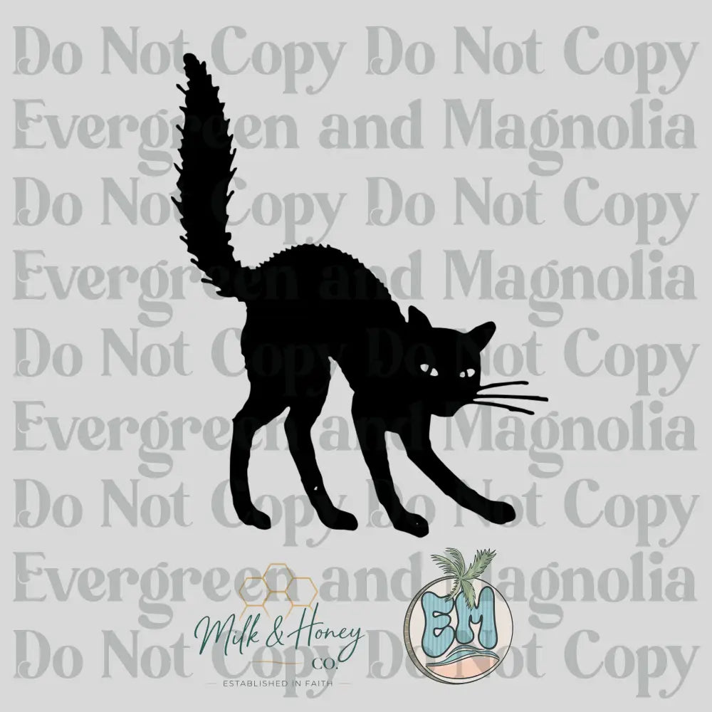 Scaredy Cat Collection
