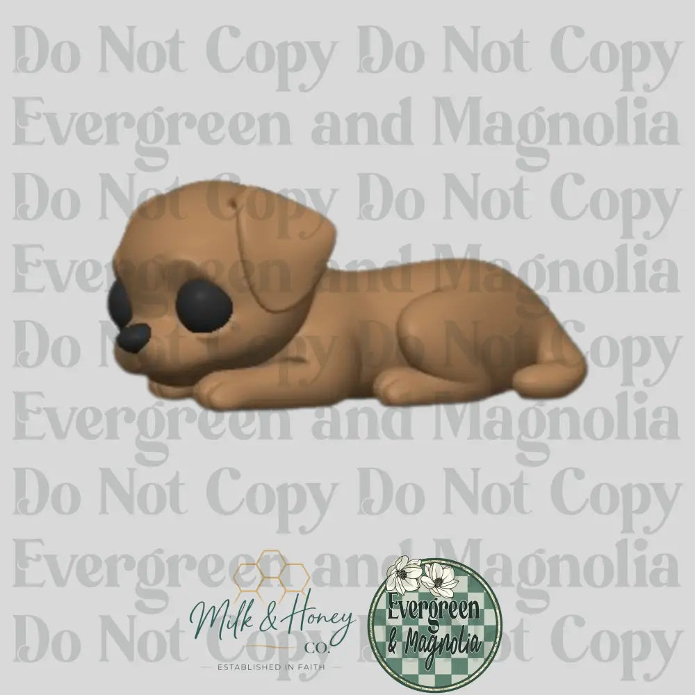Puppy Dog Focal