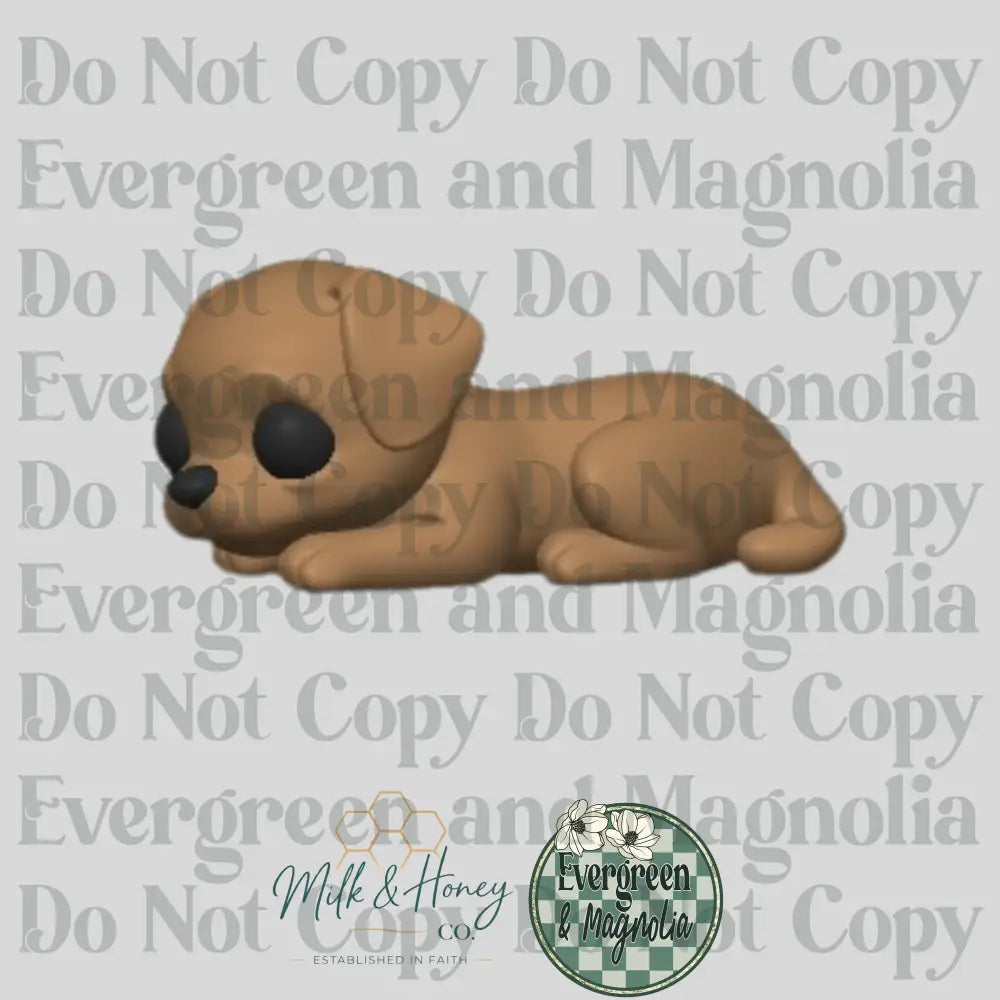Puppy Dog Focal