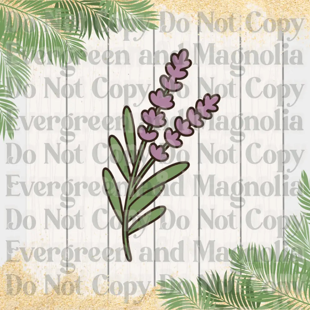 Lavender 3D Collection