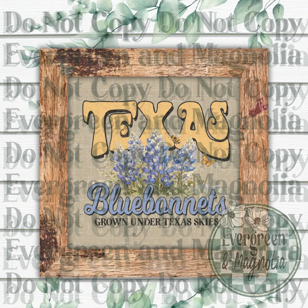 Texas bluebonnets