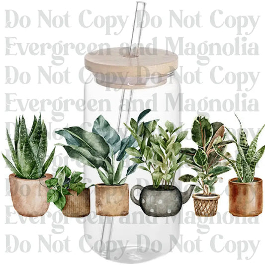 PLANT LADY 17