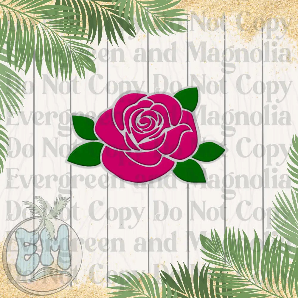 Pink rose