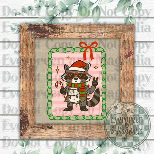 Raccoon Christmas