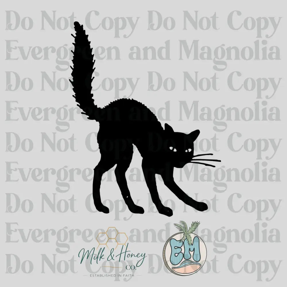 Scaredy Cat Collection