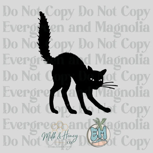 Scaredy Cat Collection