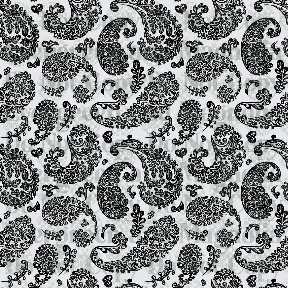 Black and White Classic Paisley Floral Pattern