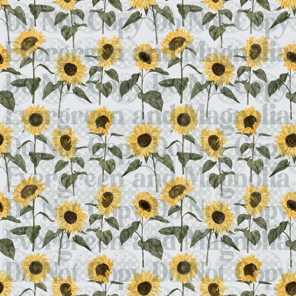Watercolor Sunflower Repeat Pattern on White Background