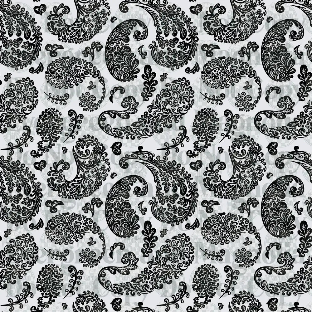 Black and White Ornate Paisley Floral Pattern