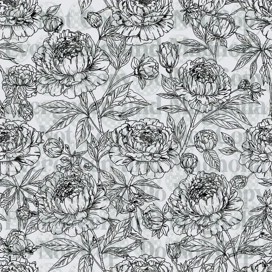Black and White Peony Floral Botanical Line Art Pattern