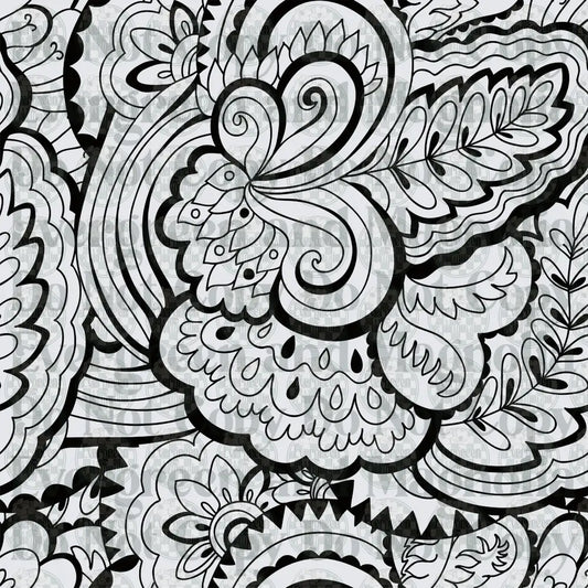 Black and White Paisley Floral Mandala Doodle Art Pattern