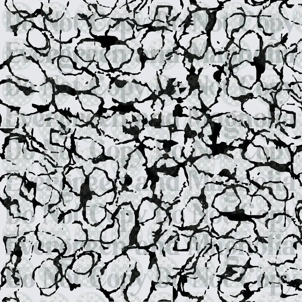 Black and White Cracked Earth Texture Pattern